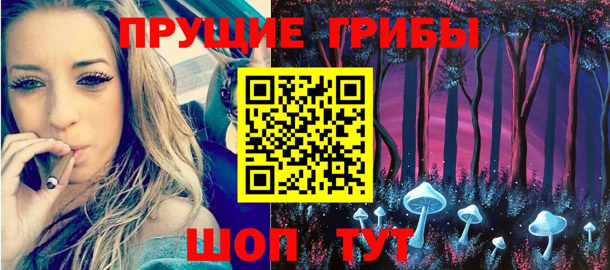 Псилоцибиновые грибы Psilocybine cubensis Клинцы